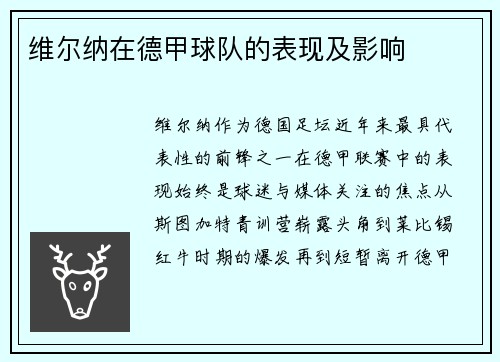 维尔纳在德甲球队的表现及影响